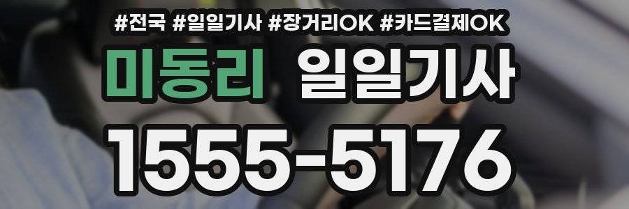 미동리 일일기사