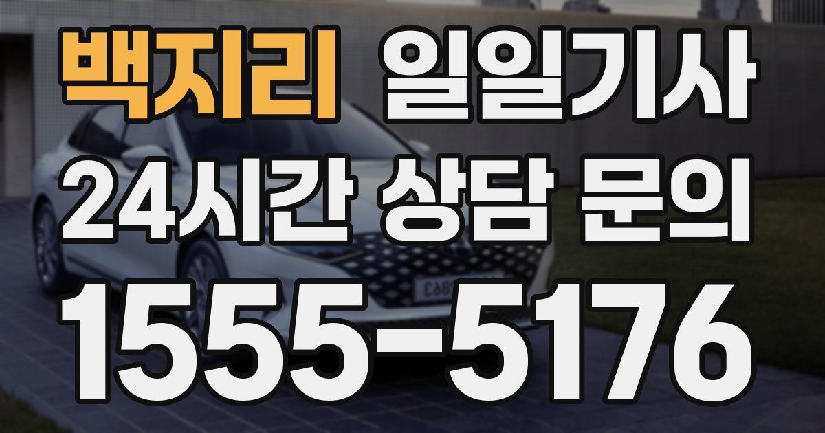 일일대리기사