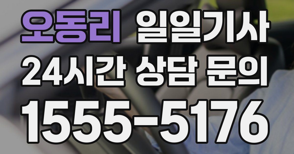 일일대리기사