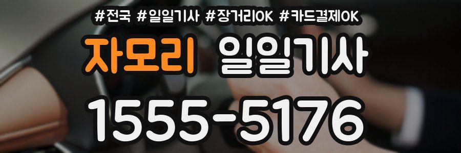 자모리 일일기사