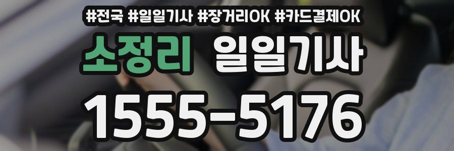 소정리 일일기사