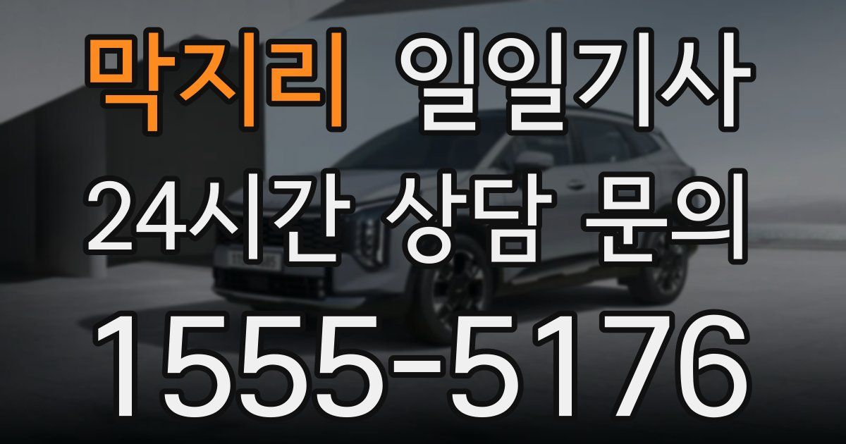 일일대리기사