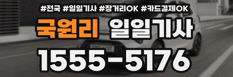 국원리 일일기사