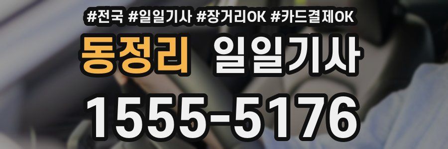 동정리 일일기사