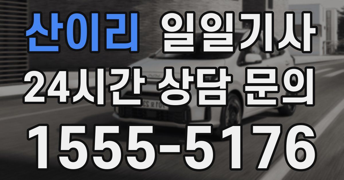 일일대리기사