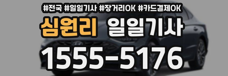 심원리 일일기사