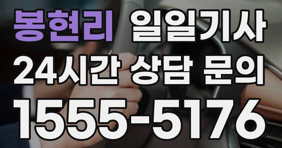 일일대리기사