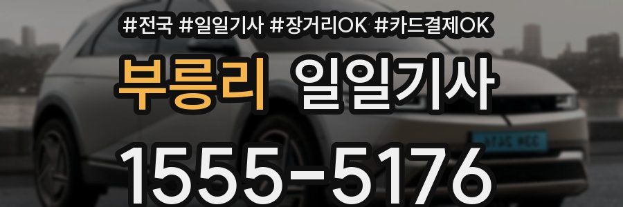 부릉리 일일기사