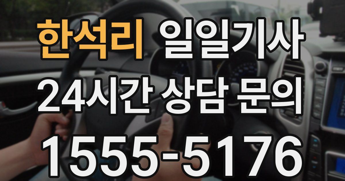 일일대리기사
