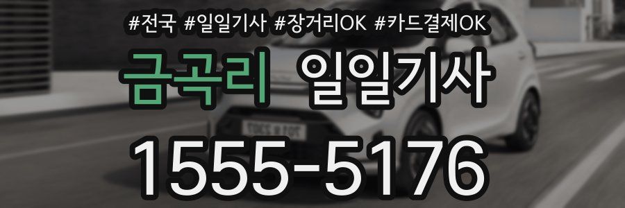 금곡리 일일기사