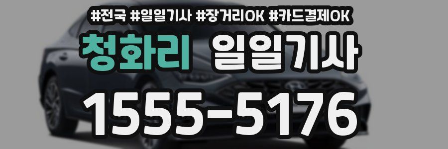 청화리 일일기사