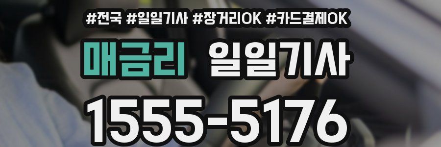매금리 일일기사