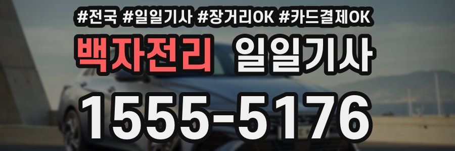 백자전리 일일기사