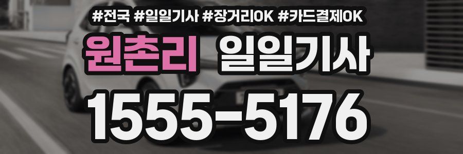 원촌리 일일기사