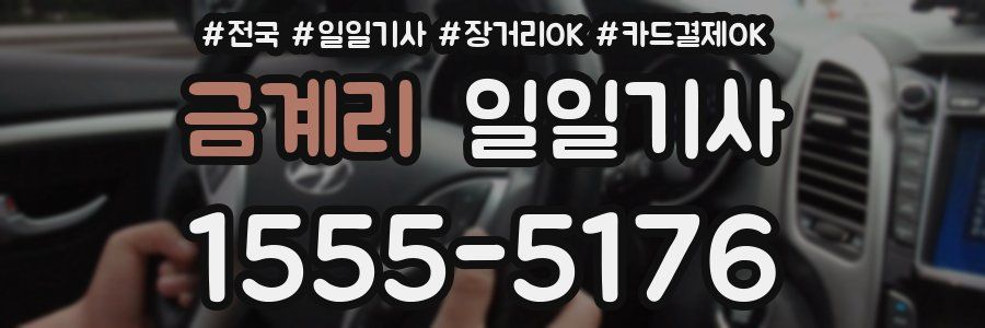 금계리 일일기사