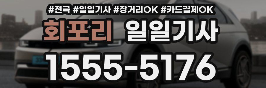 회포리 일일기사