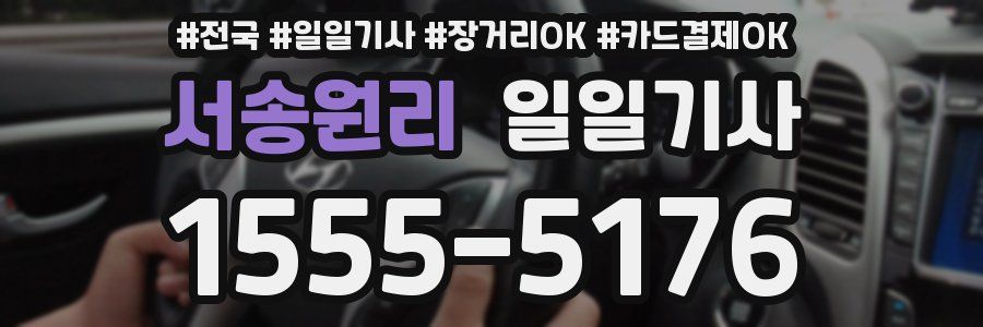 서송원리 일일기사