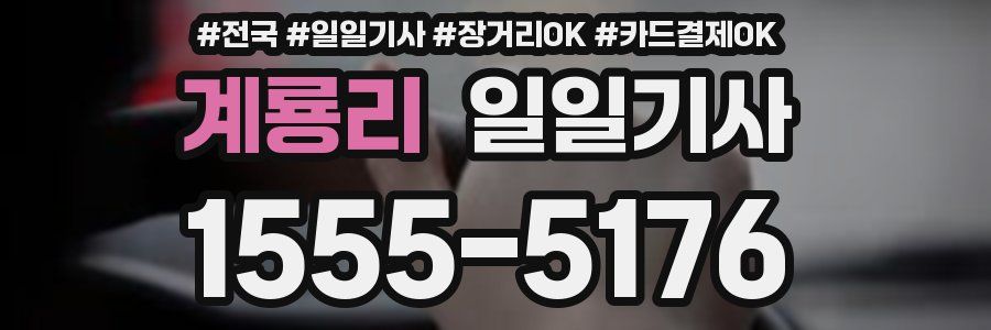 계룡리 일일기사