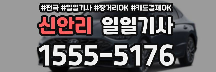 신안리 일일기사