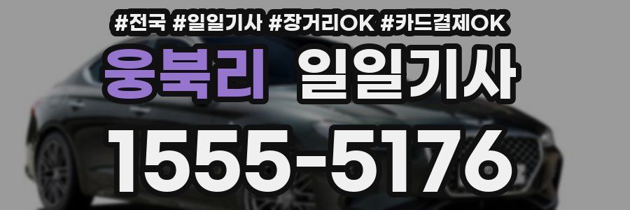 웅북리 일일기사