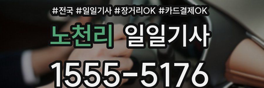 노천리 일일기사