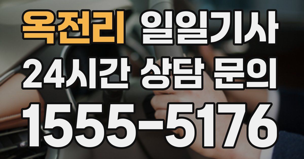 일일대리기사