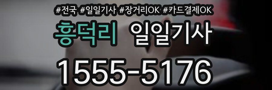 흥덕리 일일기사