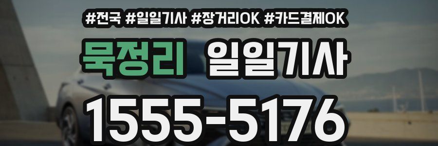 묵정리 일일기사