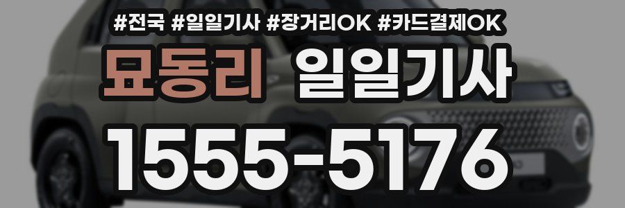 묘동리 일일기사