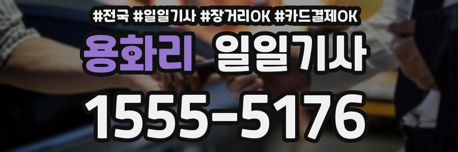 용화리 일일기사