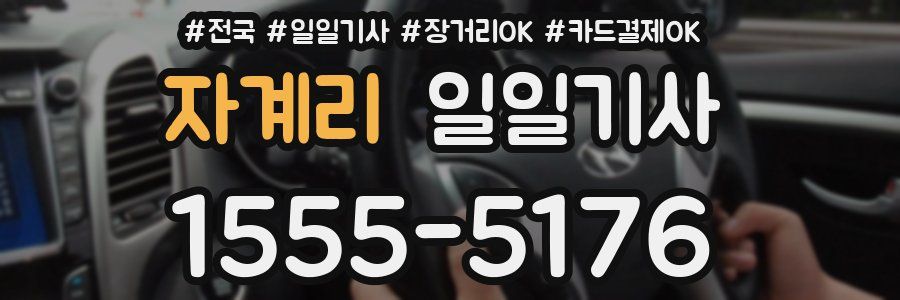 자계리 일일기사