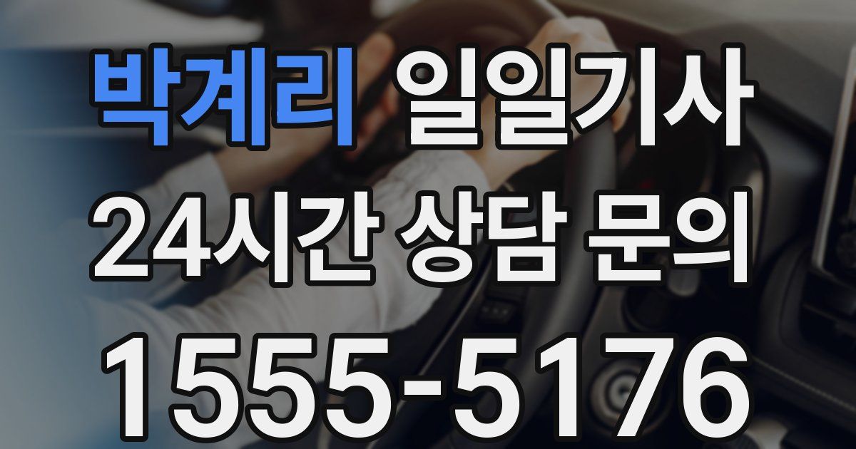 일일대리기사