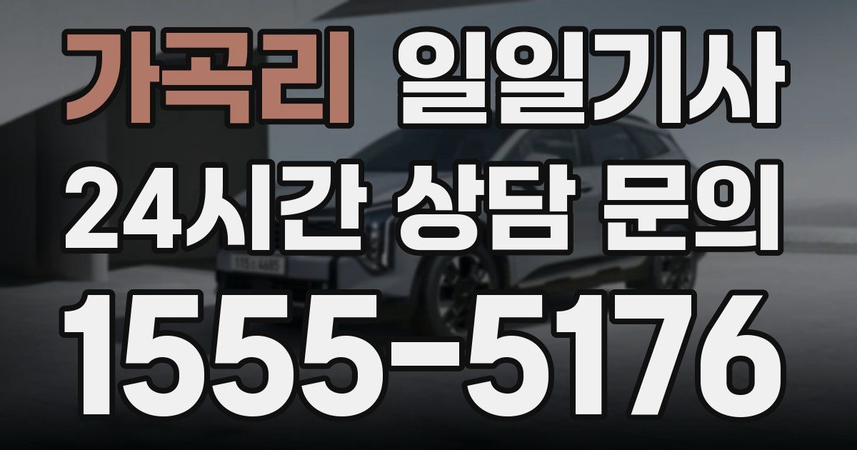 일일대리기사