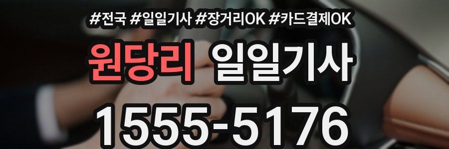 원당리 일일기사
