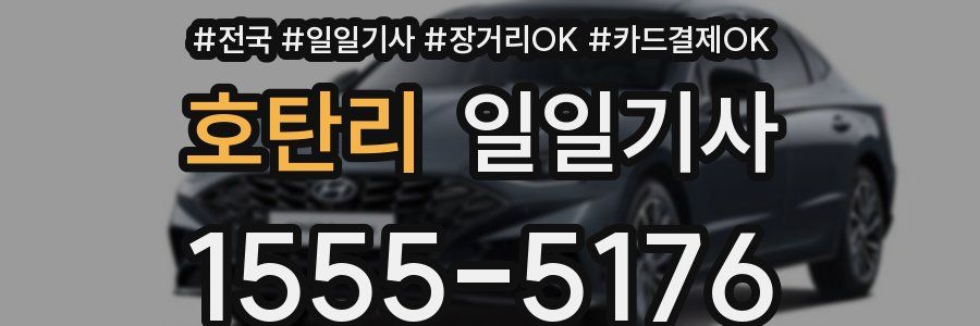 호탄리 일일기사