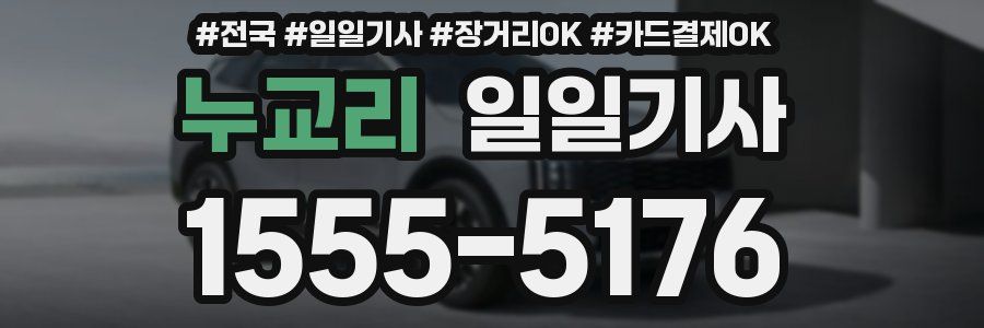 누교리 일일기사