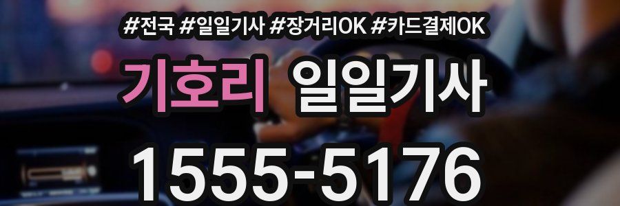 기호리 일일기사