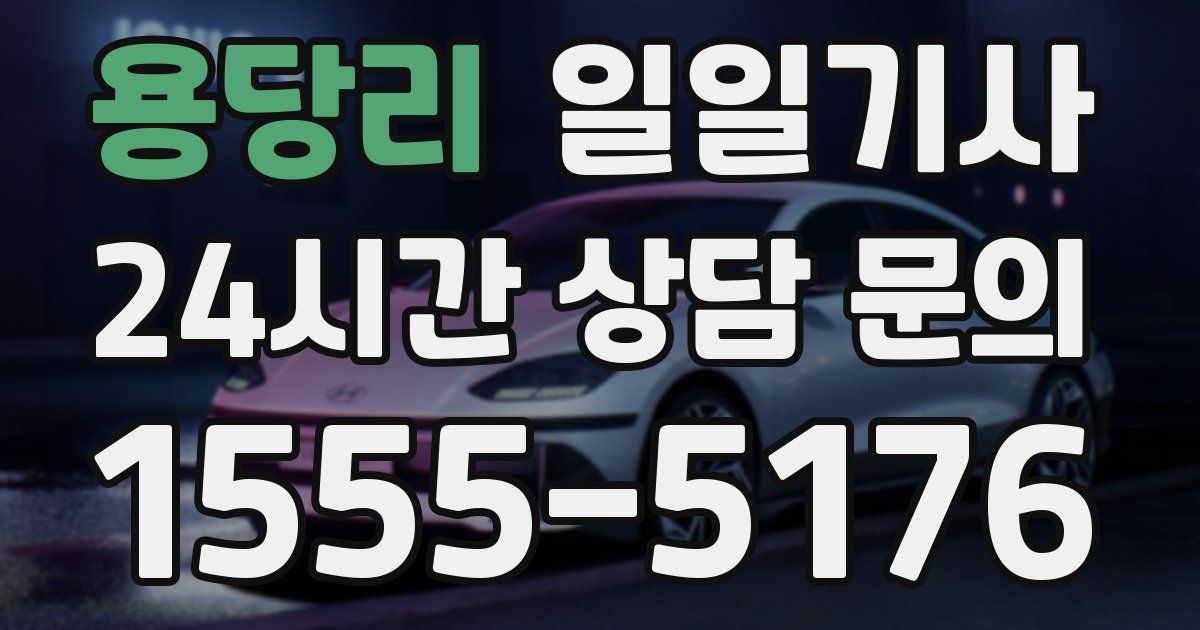 일일대리기사