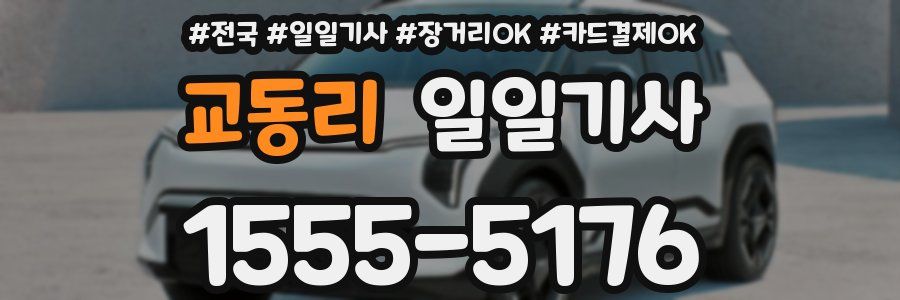 교동리 일일기사