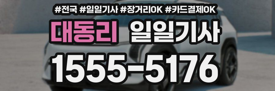 대동리 일일기사