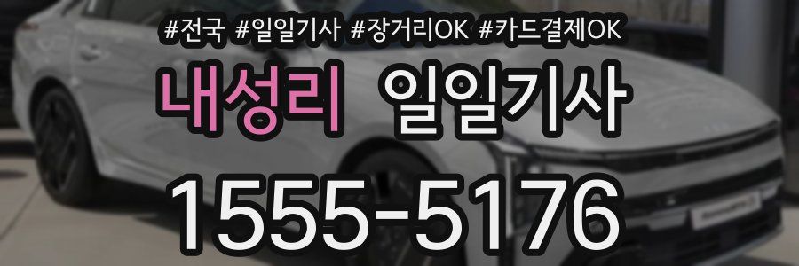 내성리 일일기사