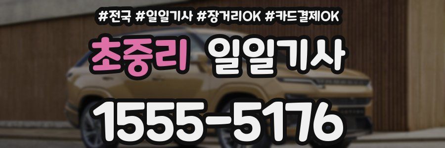 초중리 일일기사