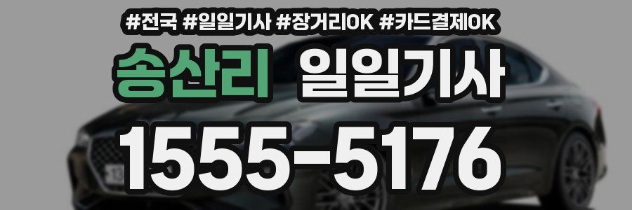 송산리 일일기사