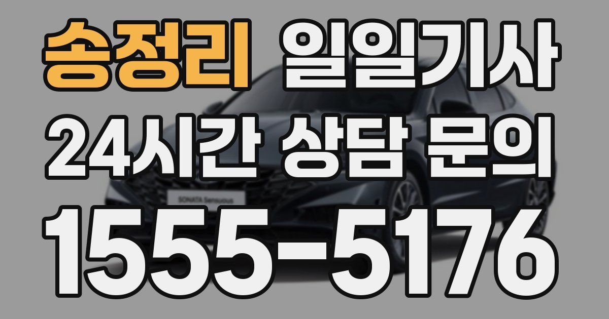 일일대리기사