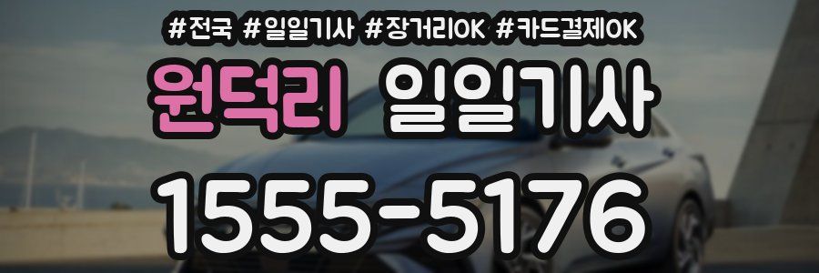 원덕리 일일기사