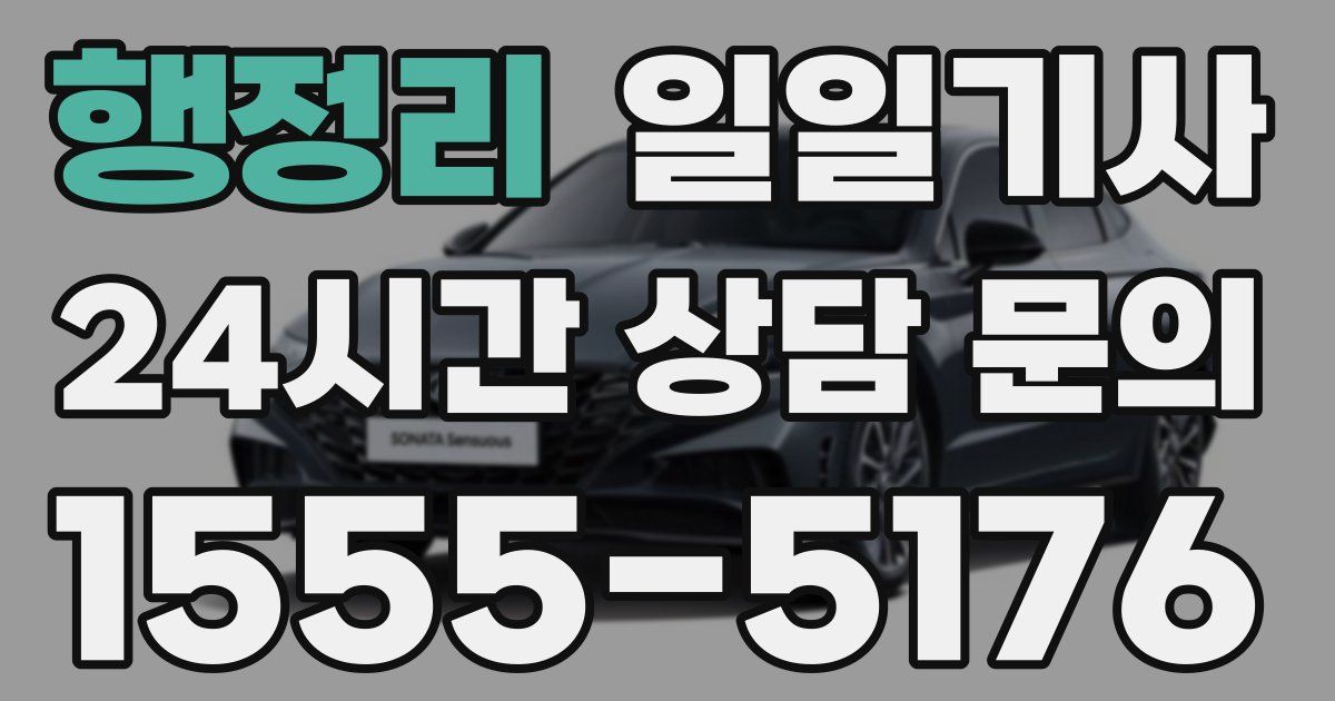 일일대리기사
