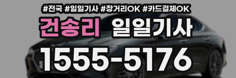 건송리 일일기사