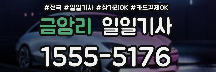 금암리 일일기사