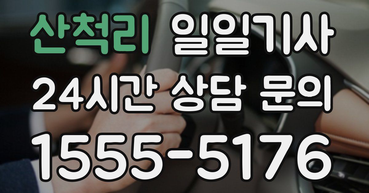 일일대리기사
