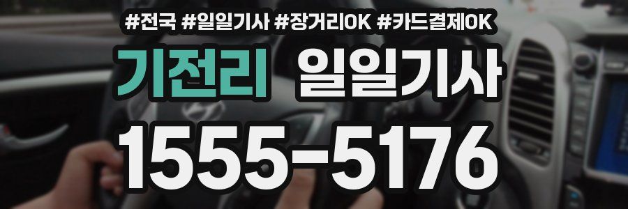 기전리 일일기사